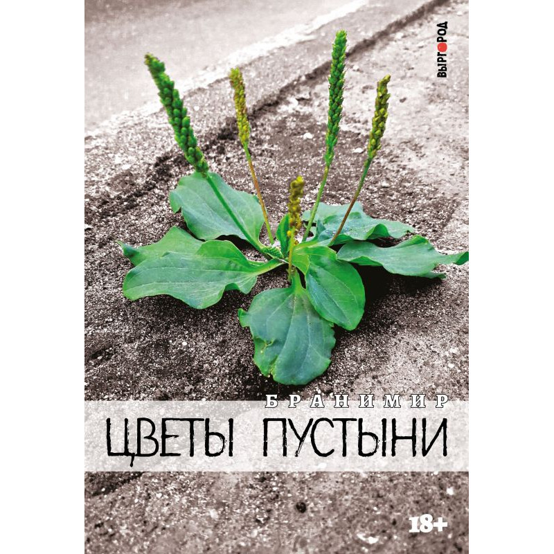 Бранимир - Цветы Пустыни Бранимир - Цветы Пустыни